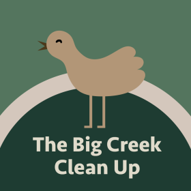 The Big Creek Clean Up