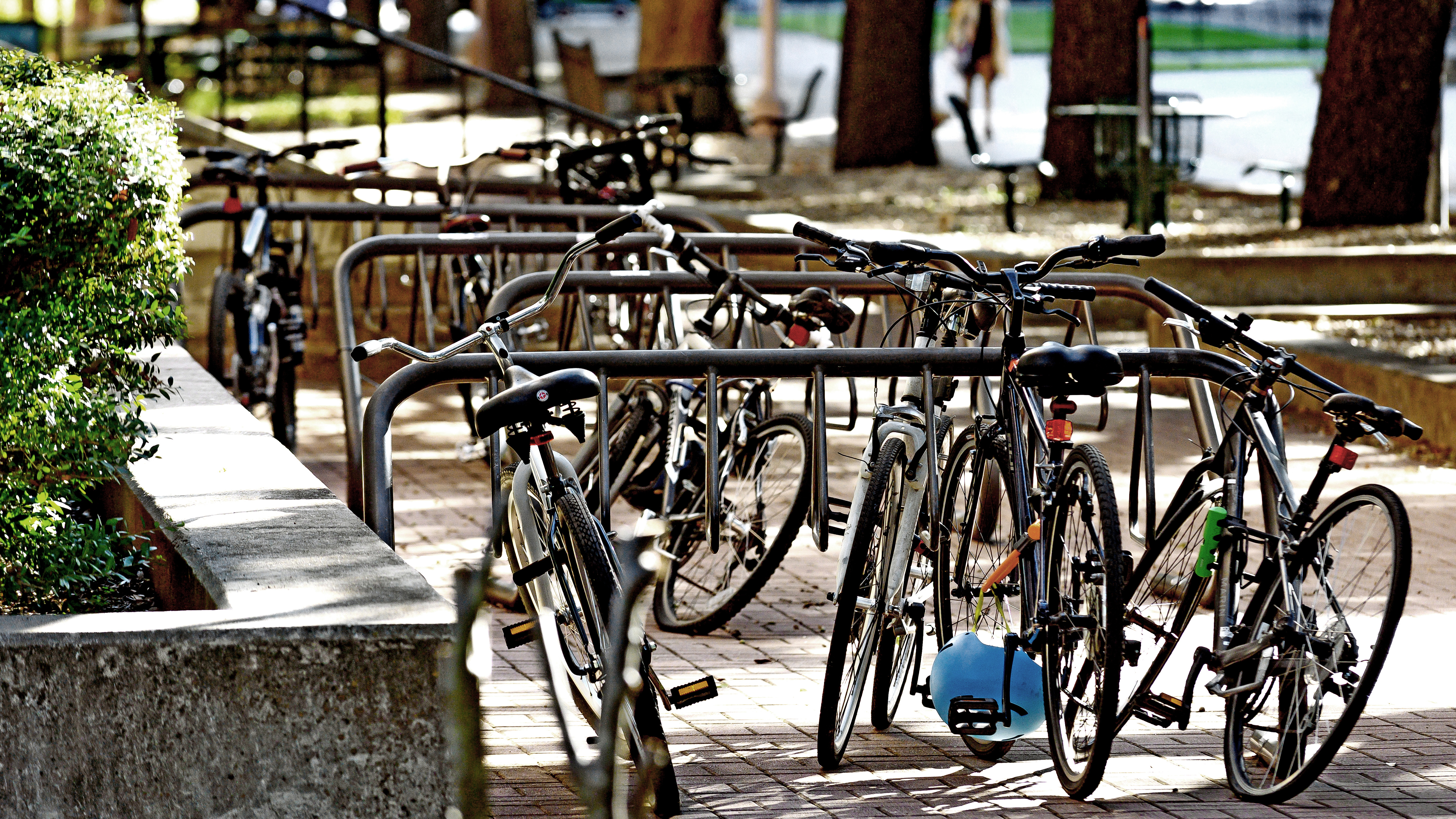 Bicycles parked on East Mall
