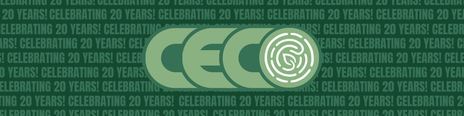 CEC 20th Birthday Banner