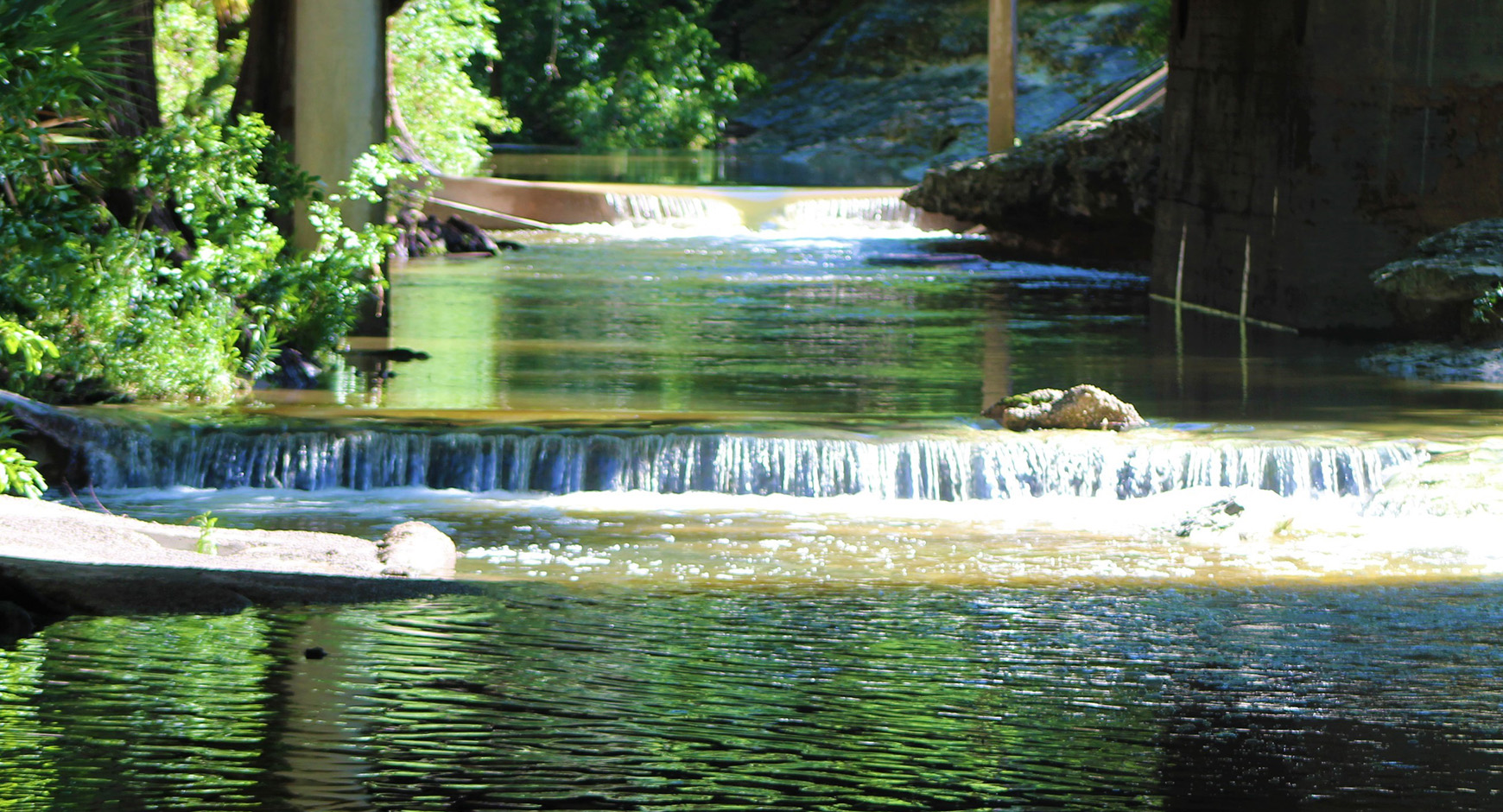 Waller Creek during Clean Up