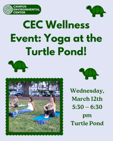 Turtle Pond Yoga