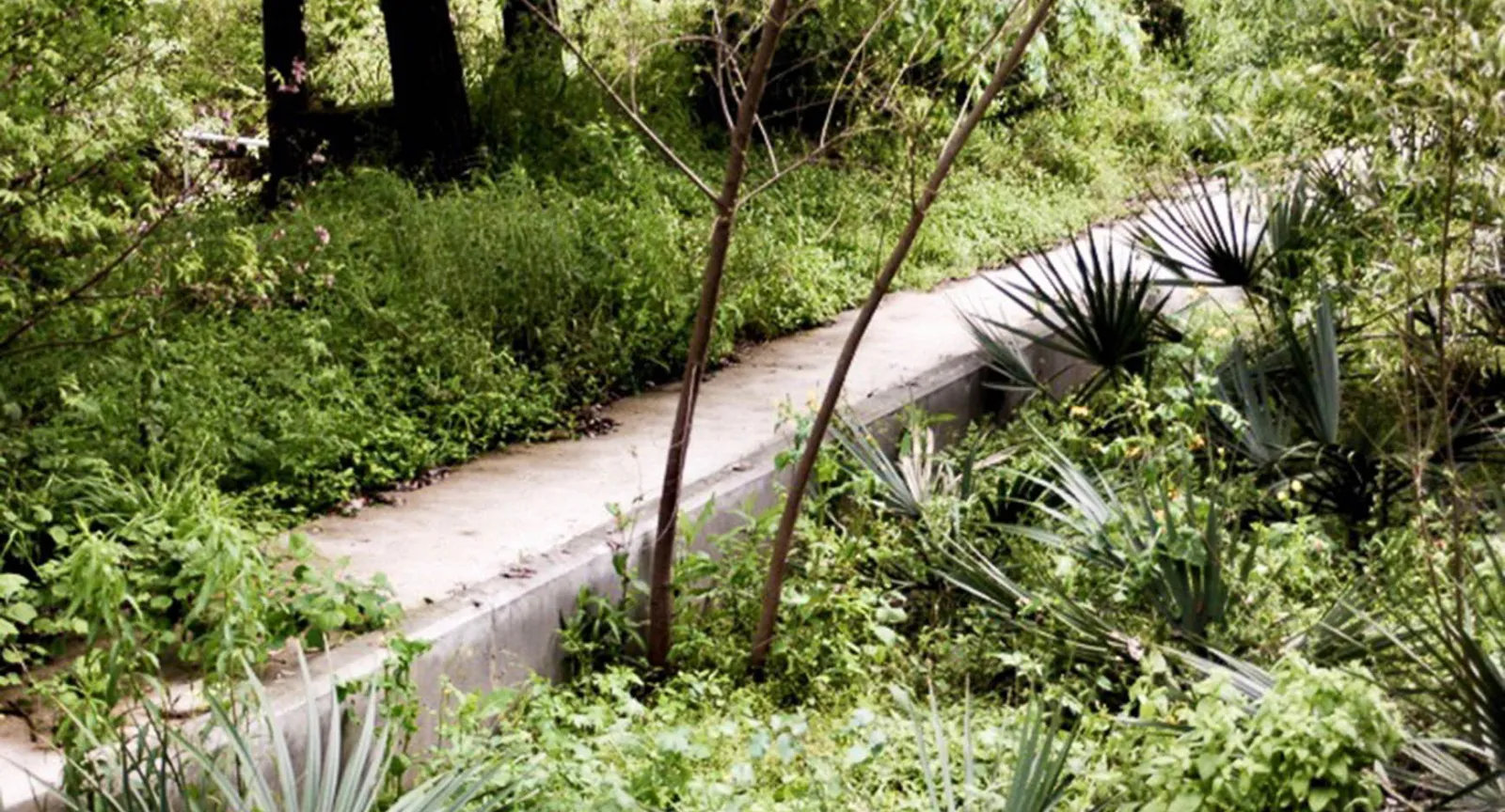 Bioretention pond