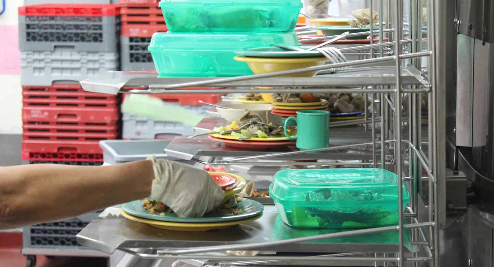 Plate Waste studies in UT Austin Housing and Dining