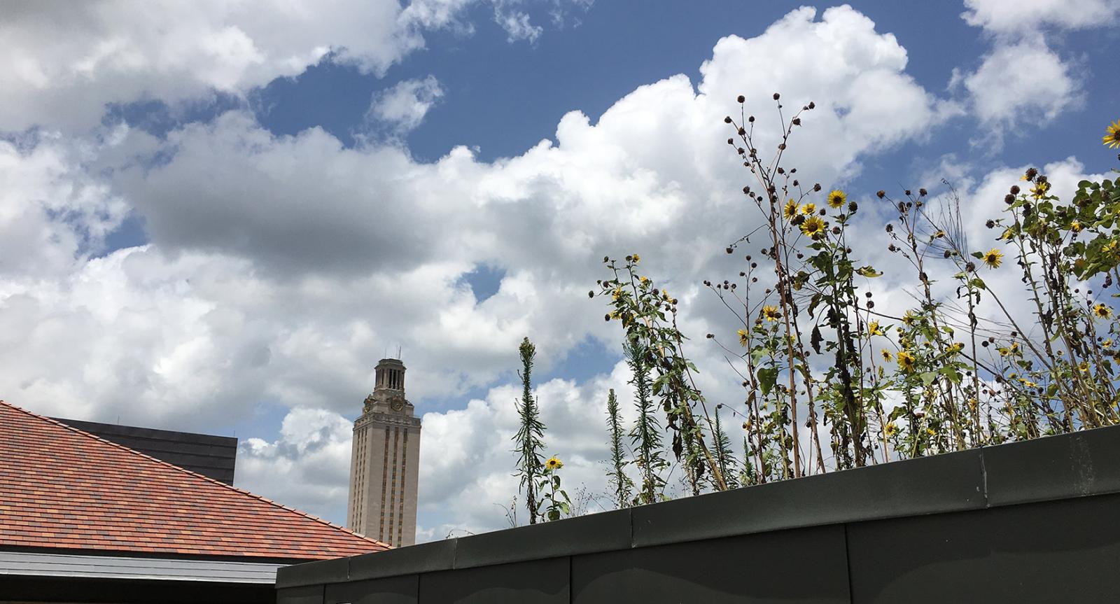 Roofgarden, Student Activity Center