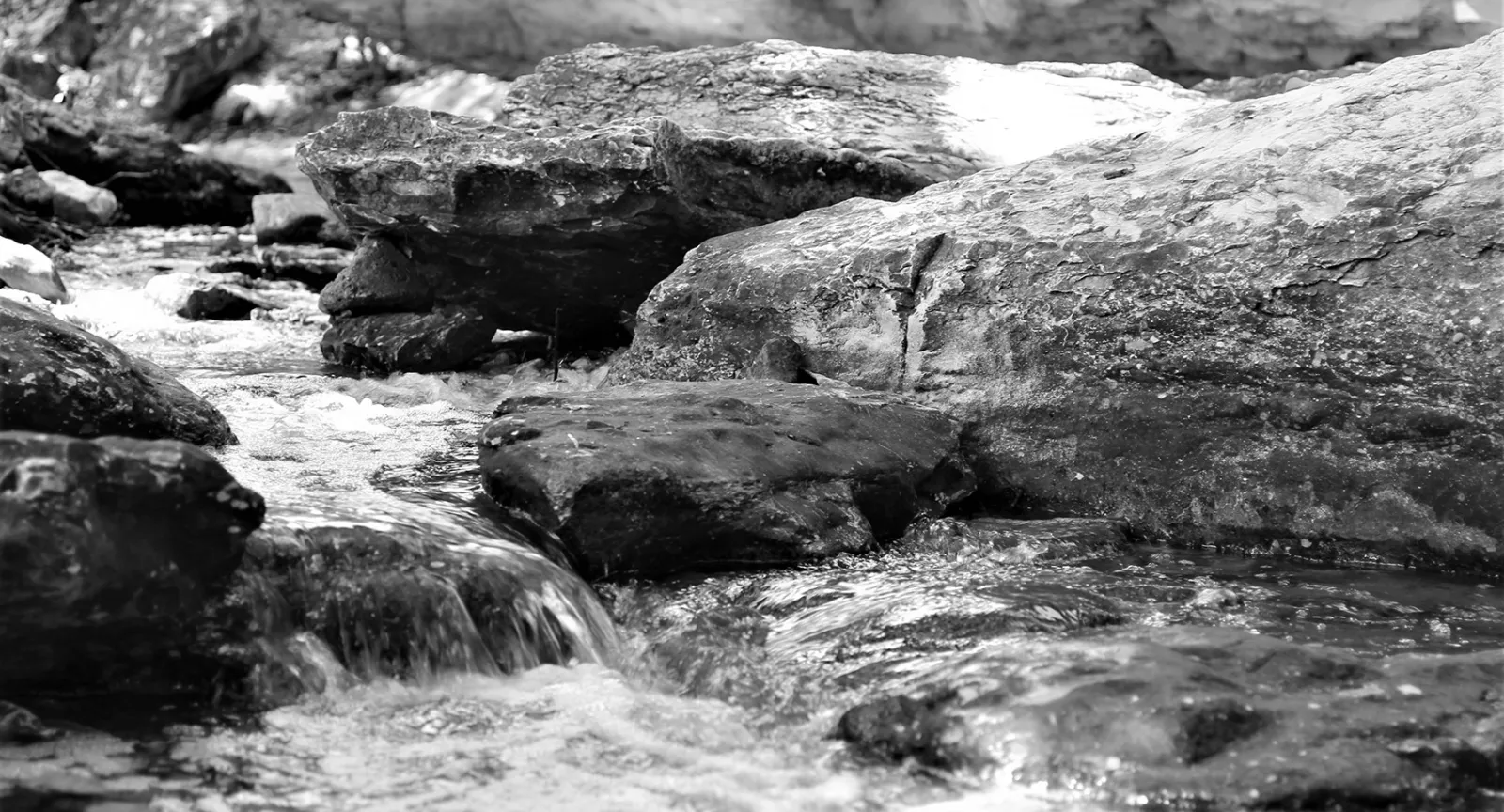 Waller Creek