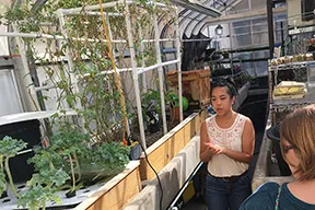 UT Austin Aquaponics