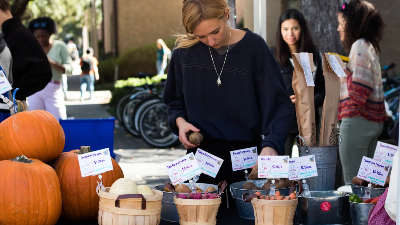 Student sets out produce for sale at UT Farm Stand