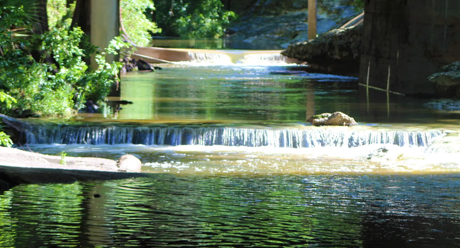 Waller Creek