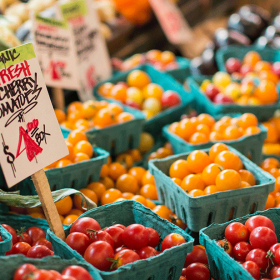 Sustainable Vendor Showcase