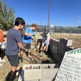Microfarm Compost