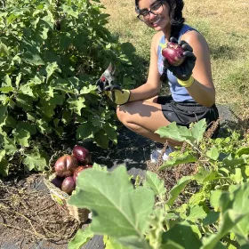 Microfarm 2024