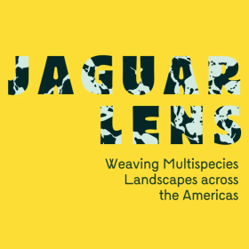 Jaguar Lens