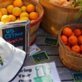 UT Farm Stand Event