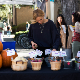 Student sets out produce for sale at UT Farm Stand