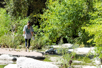Student walking along Waller Creek