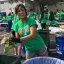 Student volunteers to sort waste after a UT football game