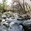 Water flows in Waller Creek