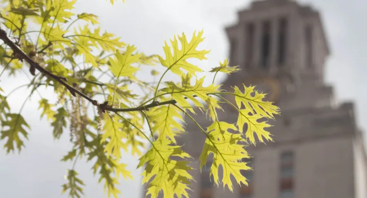 UT Austin STARS Gold