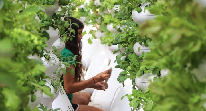 Vertical farming at UT