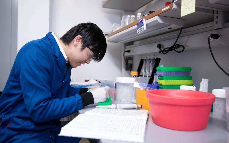 Grad students work in Ram Mathiram’s lab developing batteries and materials in the new GLT building.