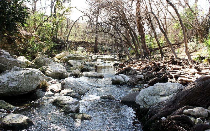 Water flows in Waller Creek