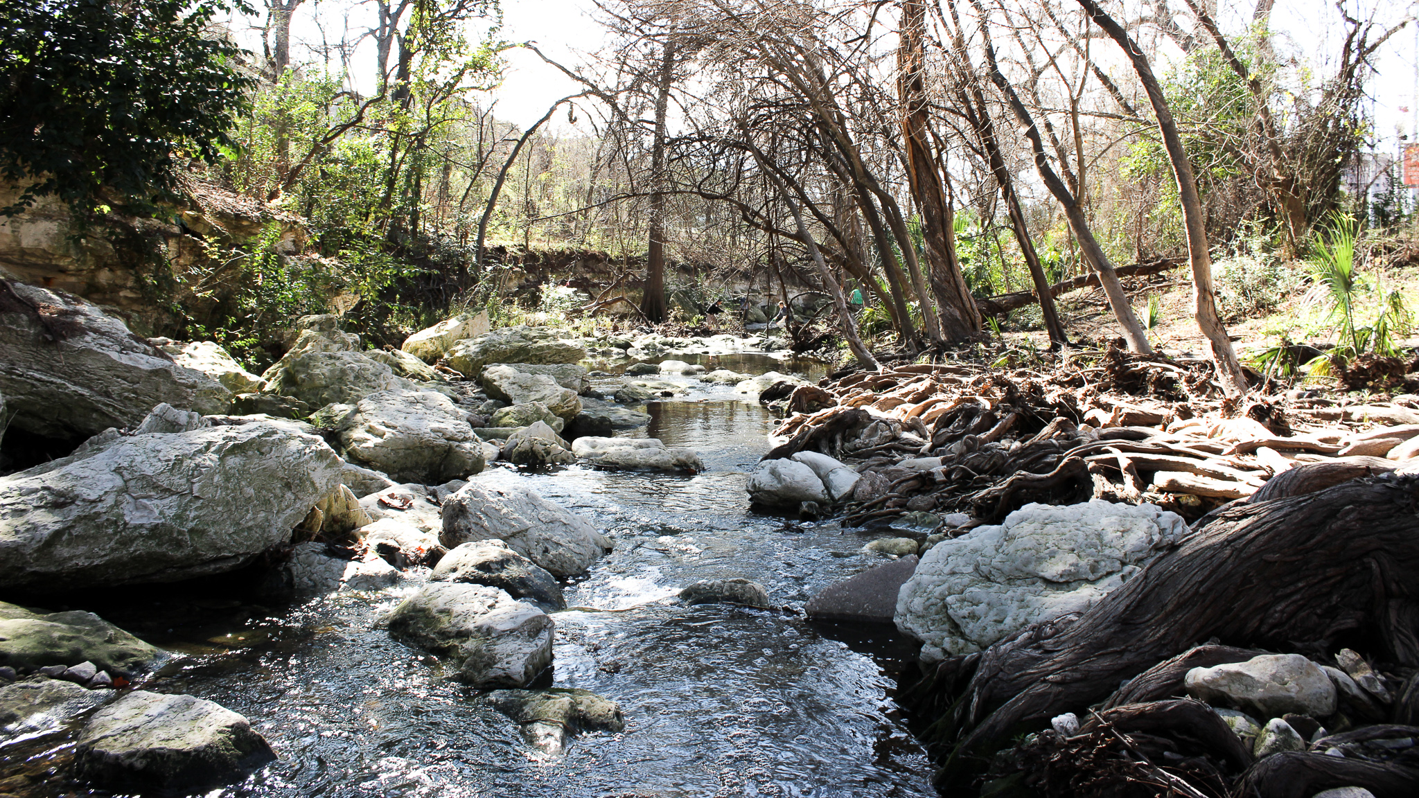 Water flows in Waller Creek